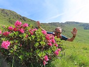 20 Son fioriti i  Rhododendron ferrugineum (Rododendri rossi)